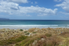 Mangawhai Heads