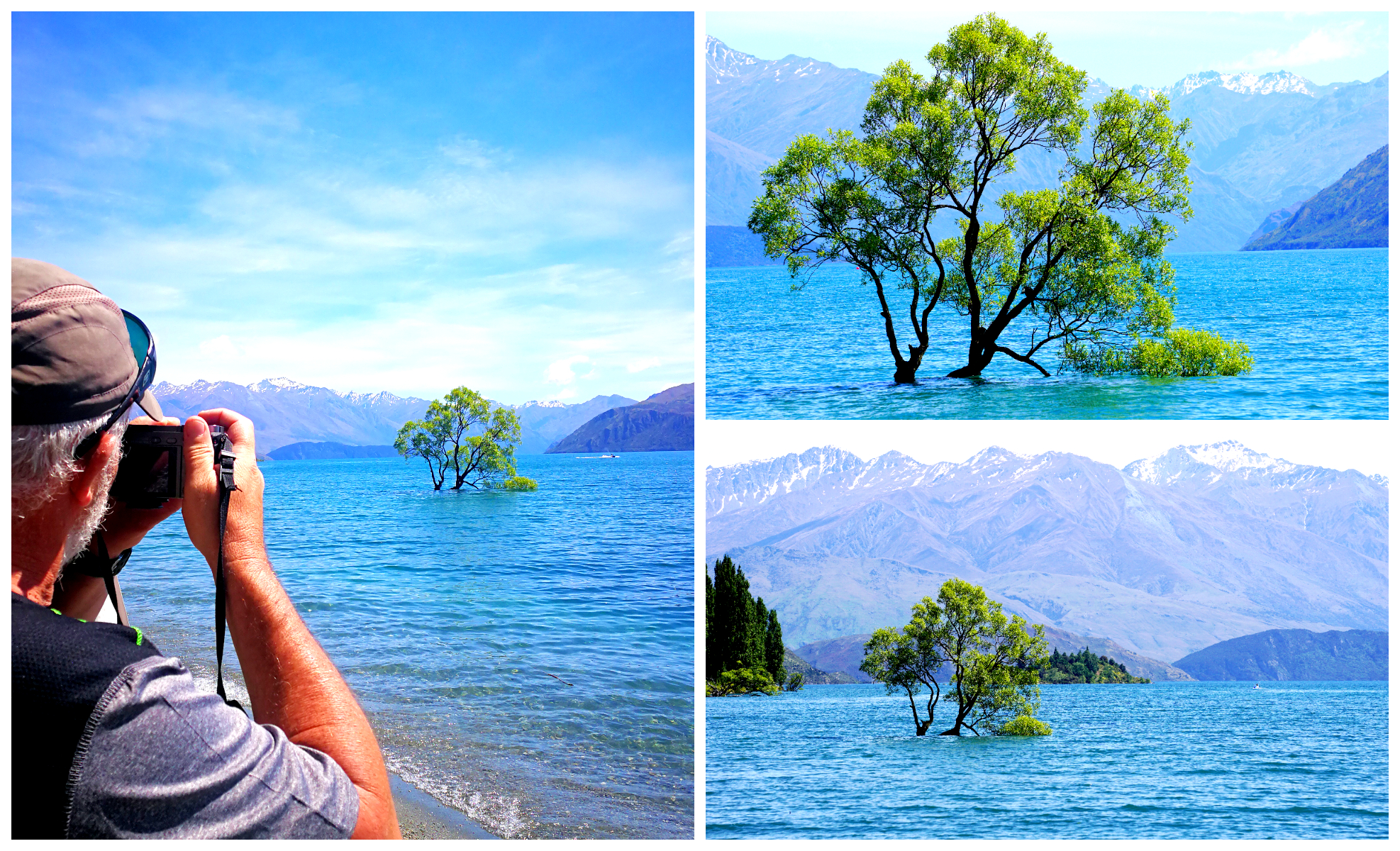 Wanaka