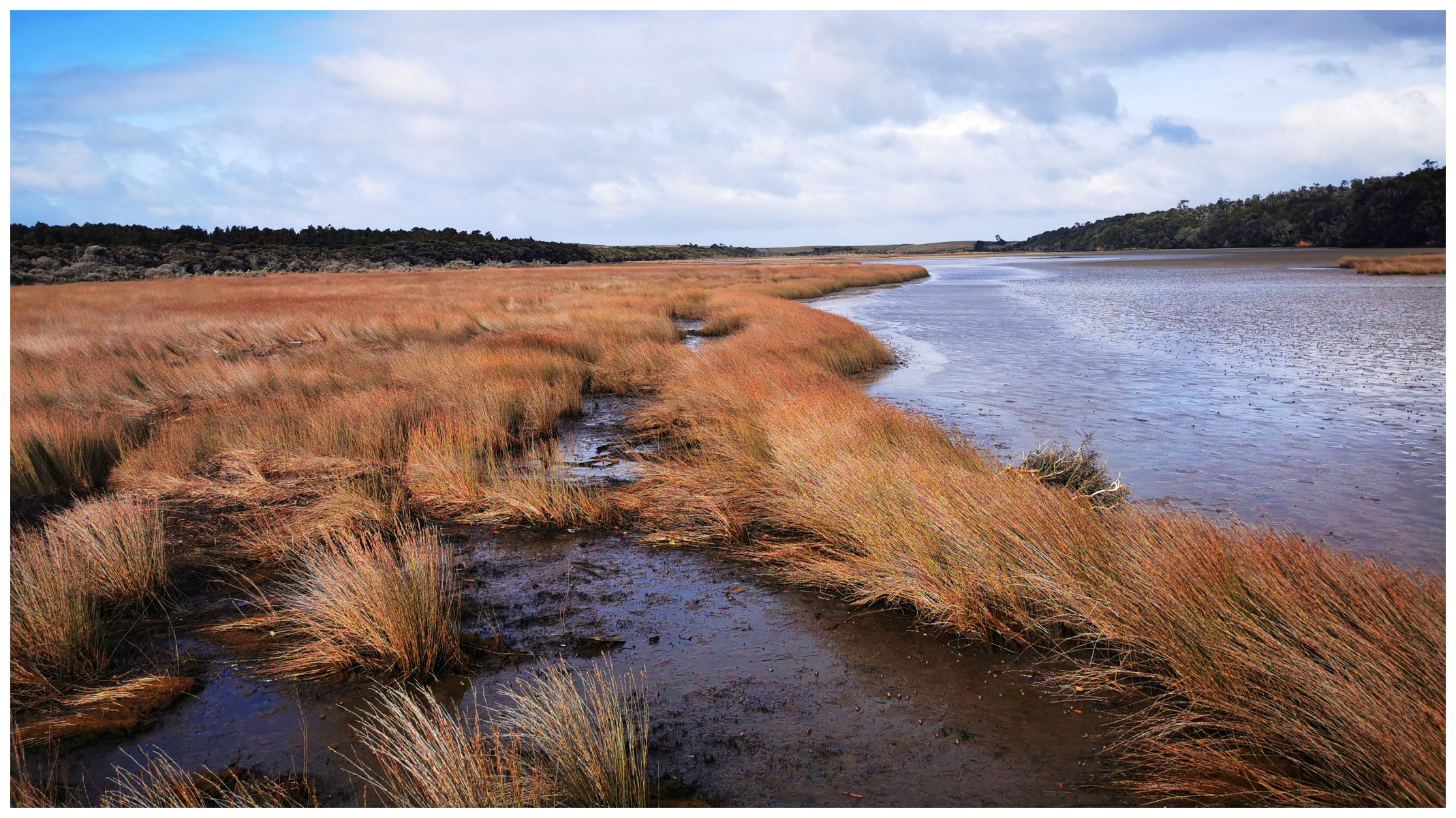 Catlins