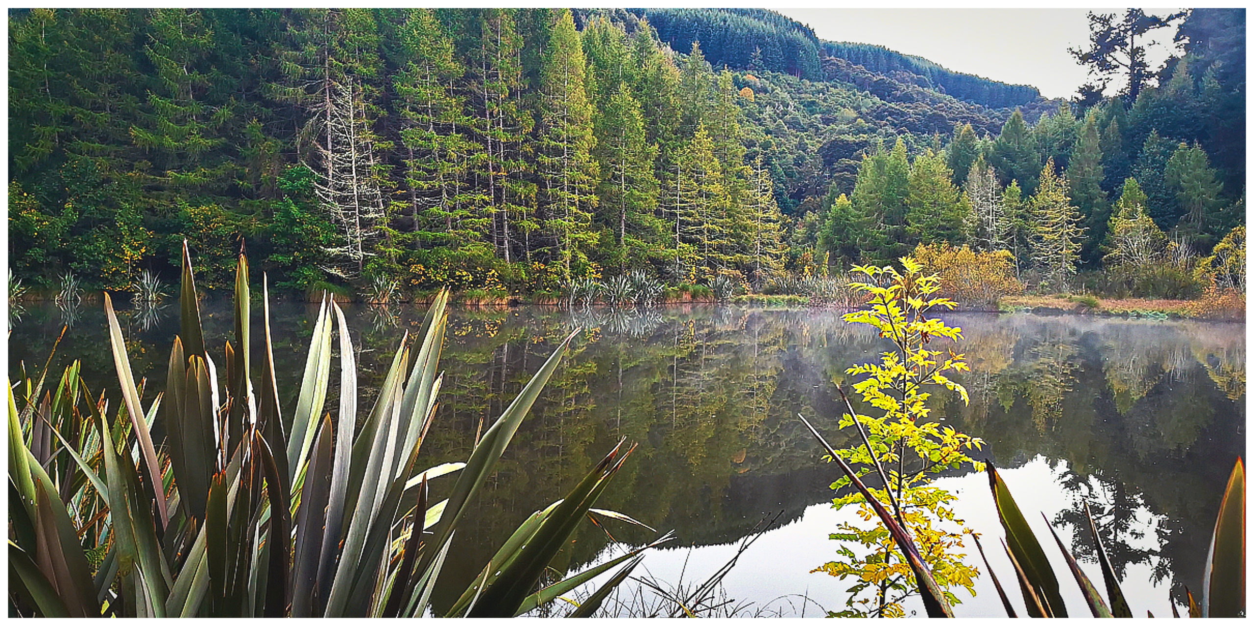 Lake Mahinerangi