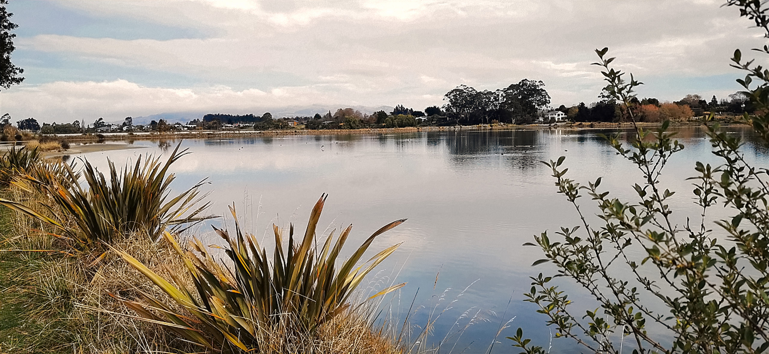 Waikouaiti