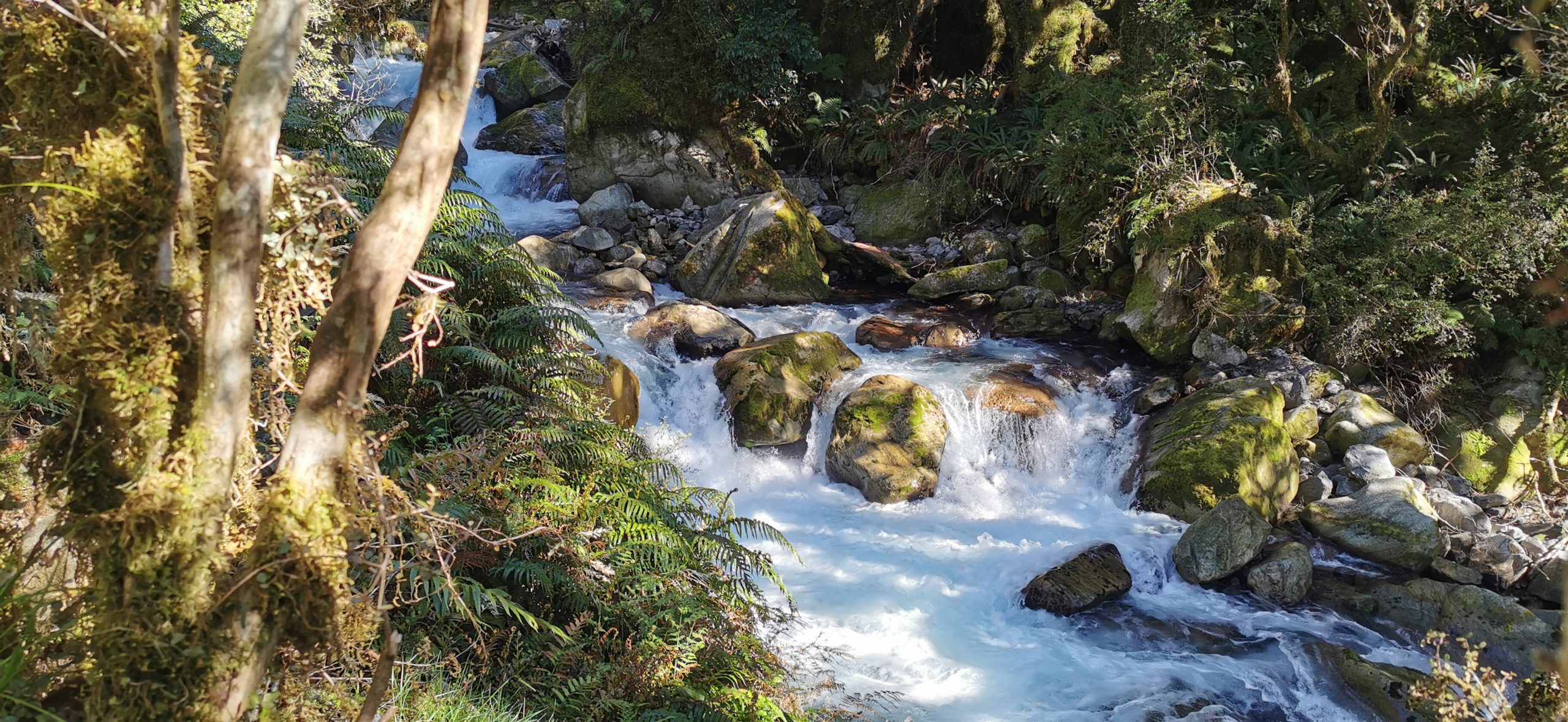 fiordland