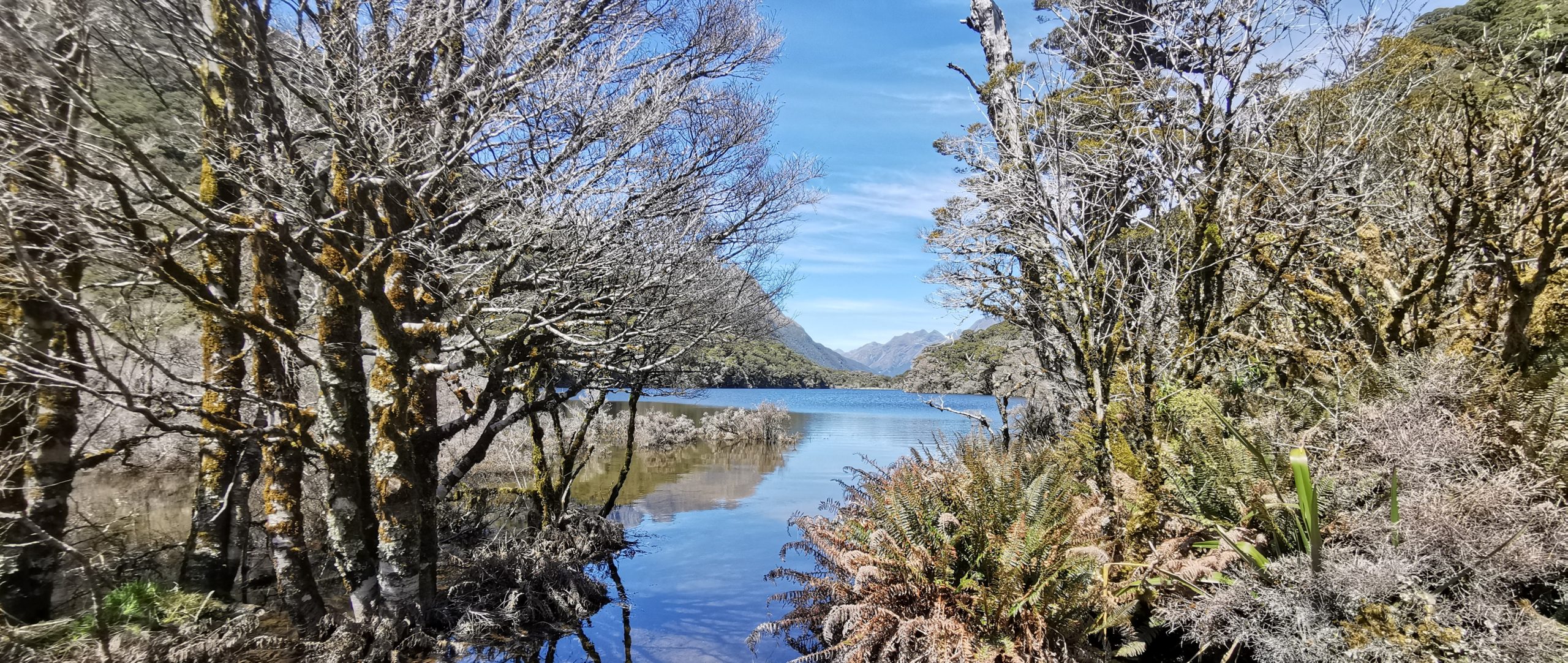 Fiordland