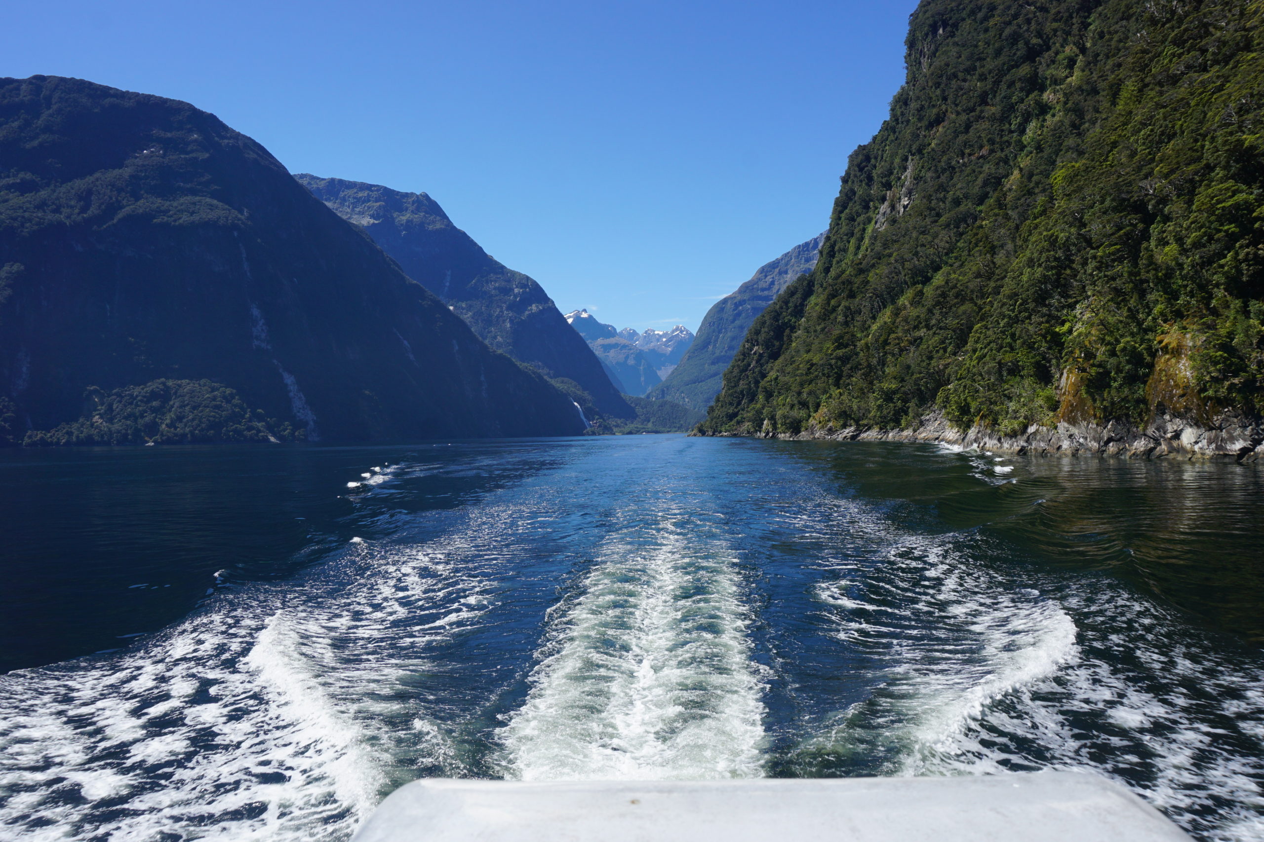 Fiordland