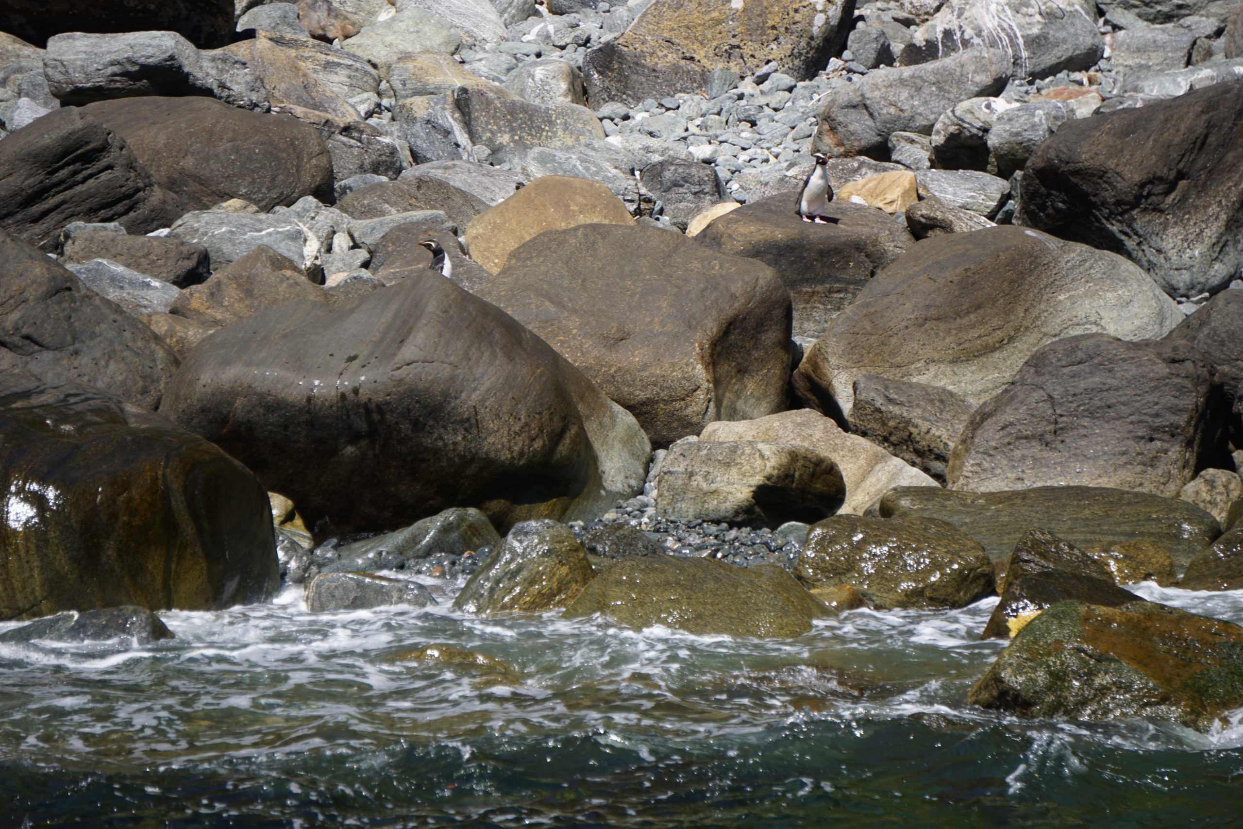 Fiordland