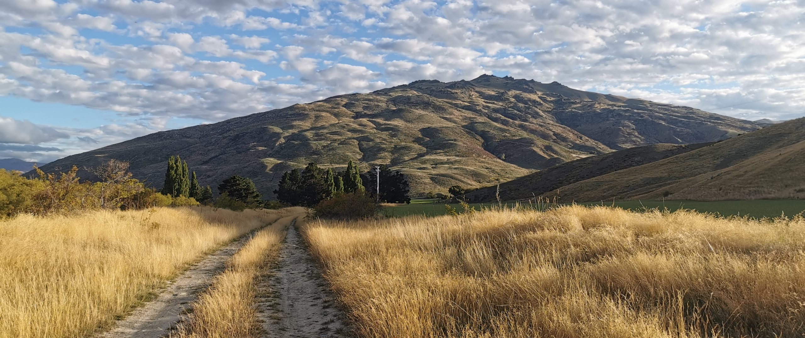 Southland to Canterbury