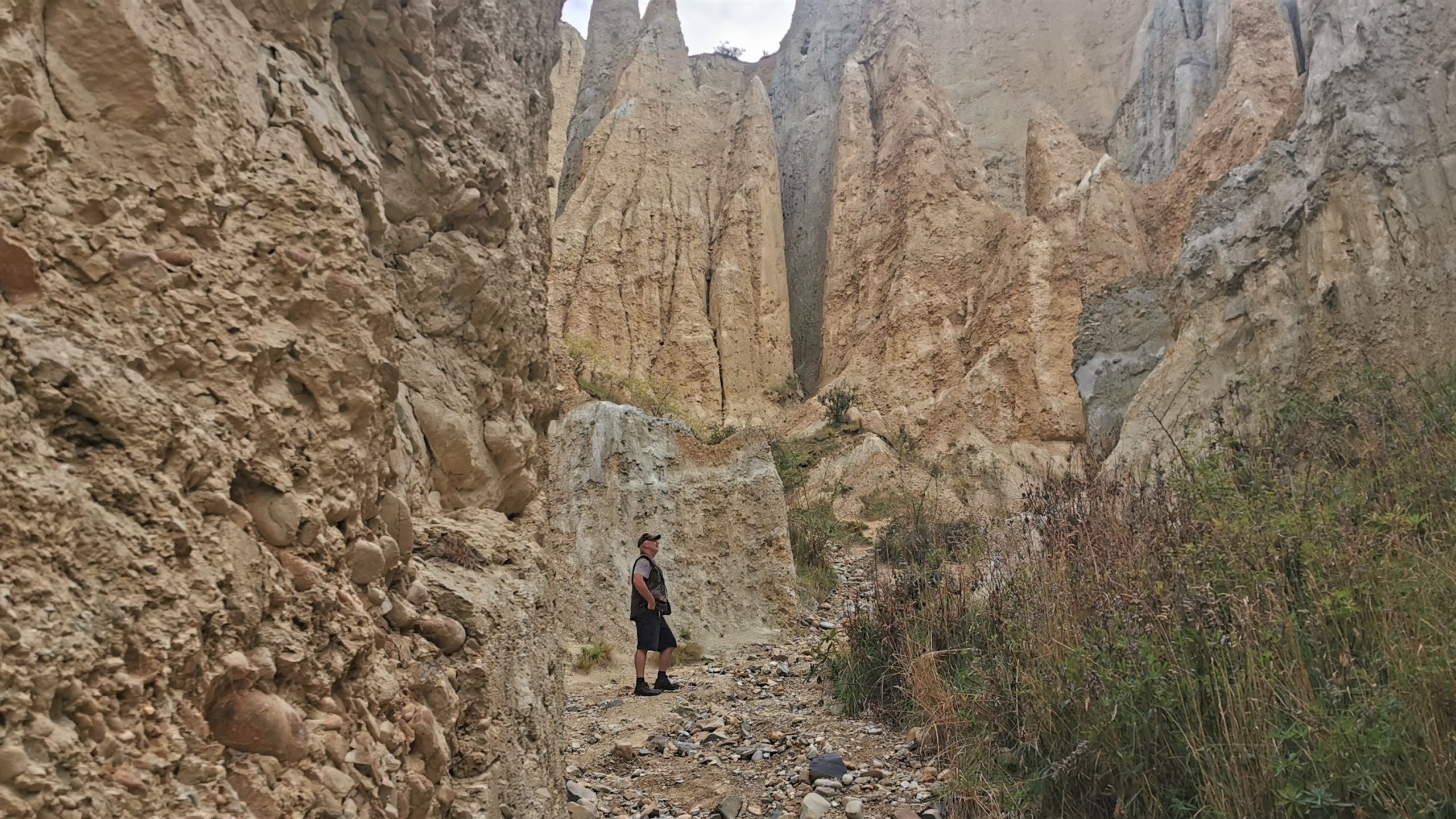 Southland to Canterbury