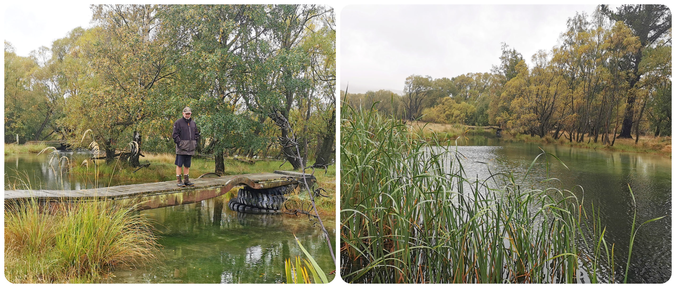 Southland to Canterbury