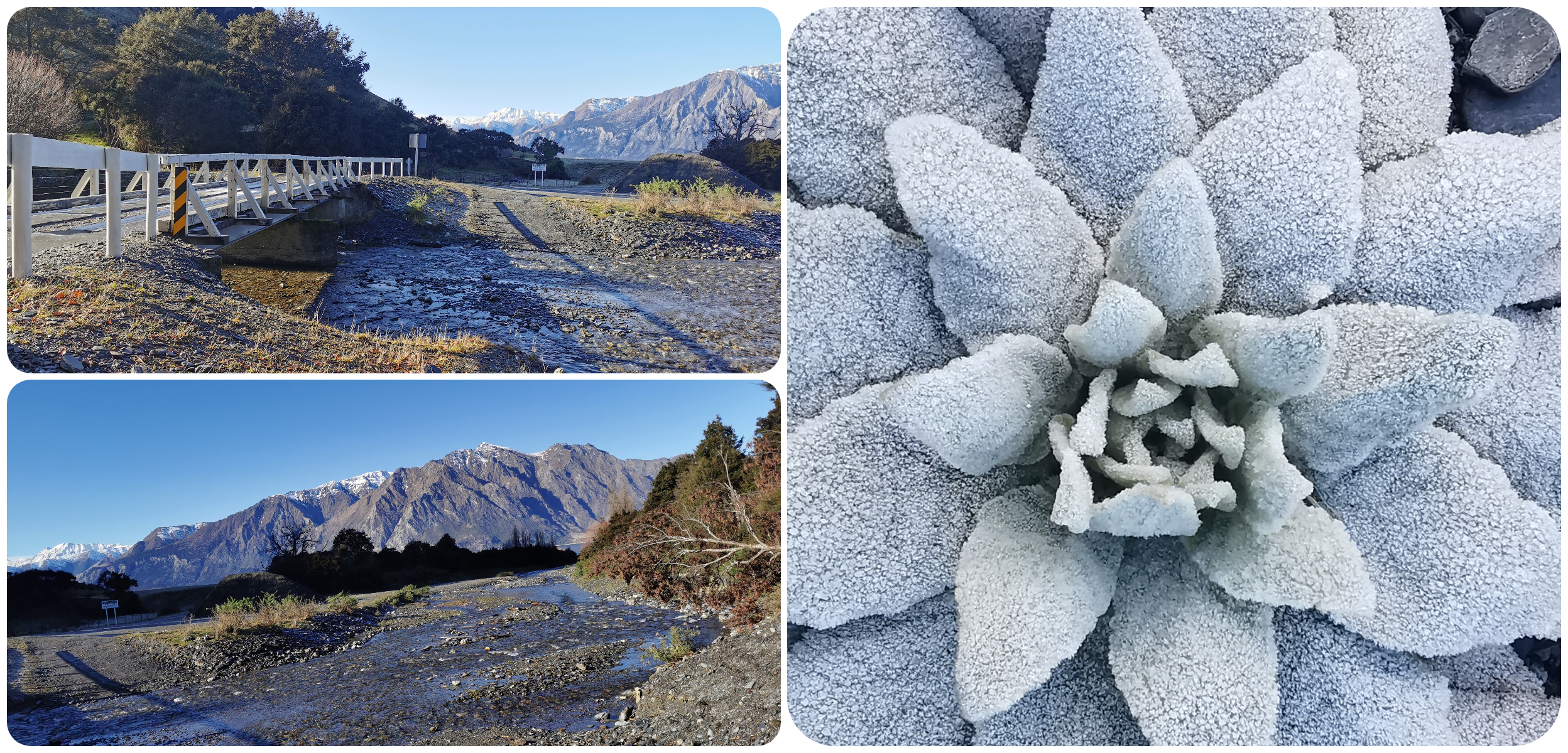 Westward Ho Cameron Flat & Lake Hawea